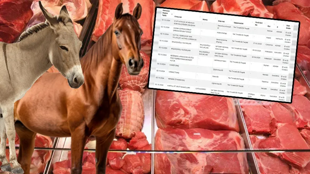 İşte vatandaşa en çok at-eşek eti yedirilen şehirler!