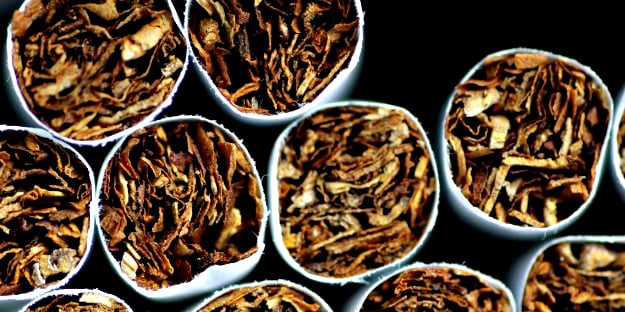 İşte yasak dediğin böyle olur! Bravo Yeni Zelanda...