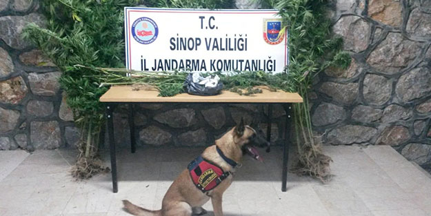 İstihbarat alan jandarmadan zehir tacirine operasyon