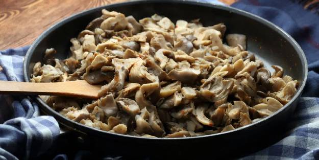 İstiridye mantarı nasıl yapılır ? Kolay tarif