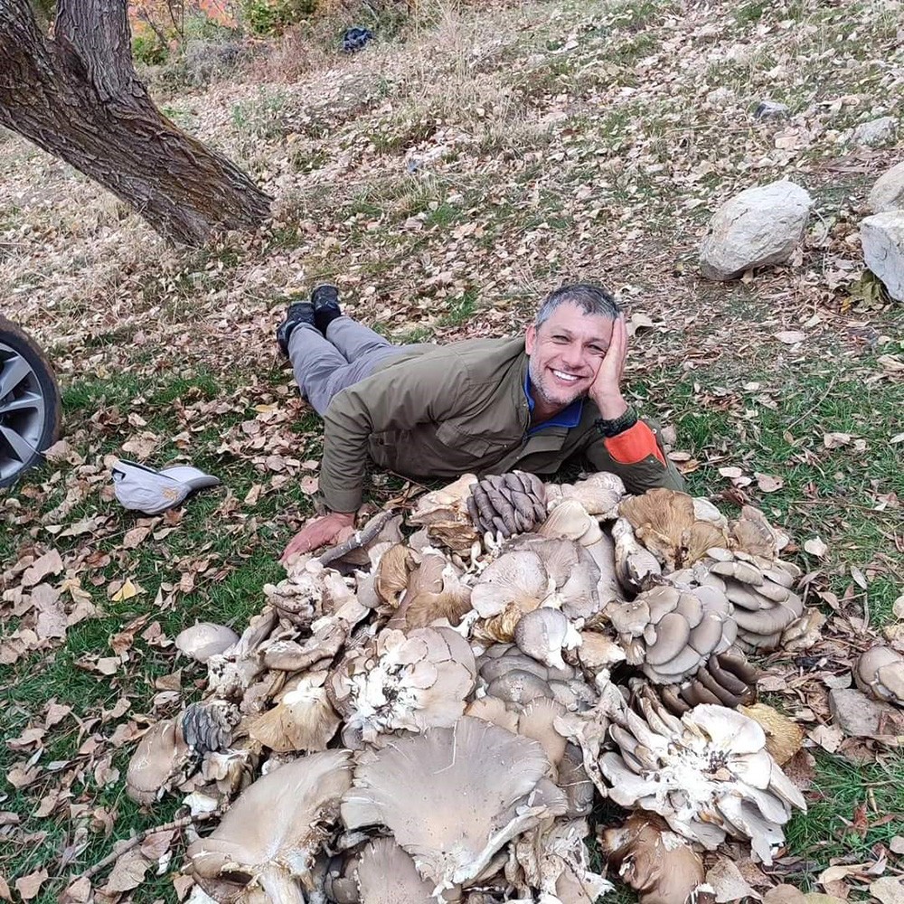 İstiridye mantarları büyüklüğüyle görenleri şaşırttı!