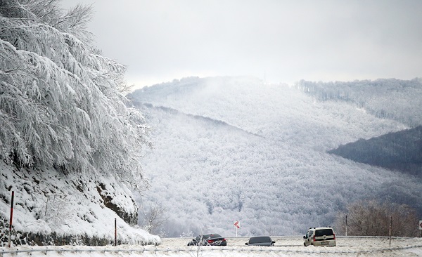Istranca Ormanları beyaza büründü