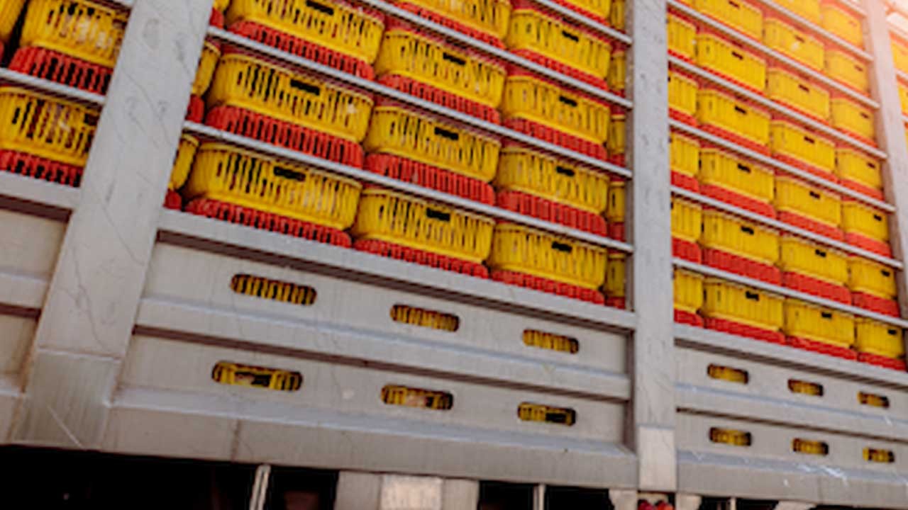 İsveç ve İtalya ülkeye sokmadı! O yiyecekler Türkite'ye gönderildi