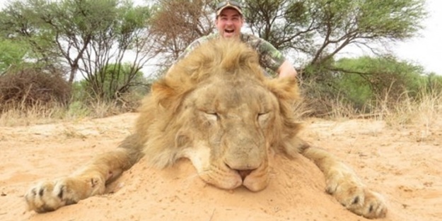 İsveçli politikacıya tepki yağıyor, bakın neden!