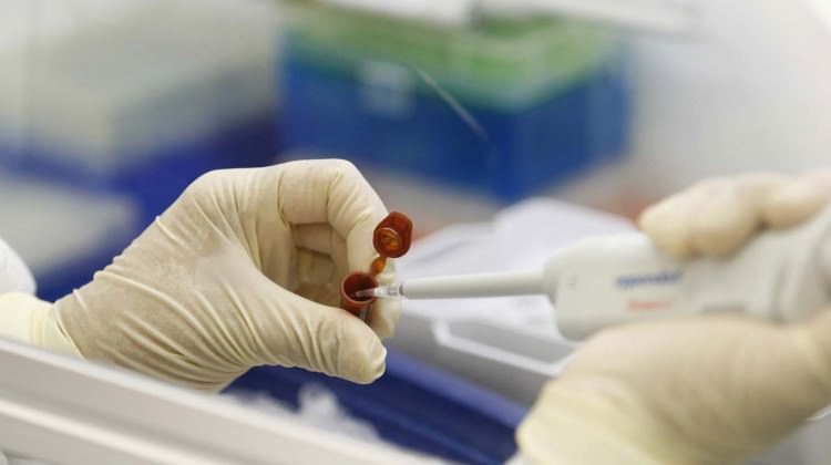 İsveç’te bir haftada 700 domuz gribi vakası