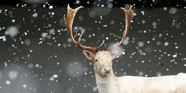 O buluşa ödül verildi