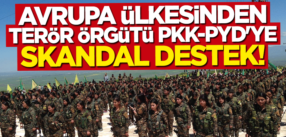 İsveç'ten terör örgütü PKK/PYD'ye skandal destek!