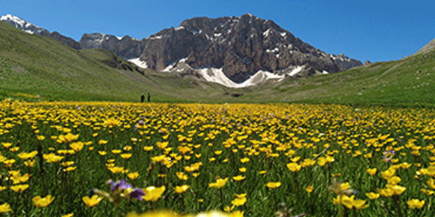 İsviçre Alpleri değil, Munzur Dağı’nda ki Merg Yaylası