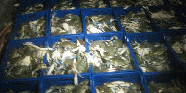 İsyan ettirmişti, şimdi gelir kapıları oldu!