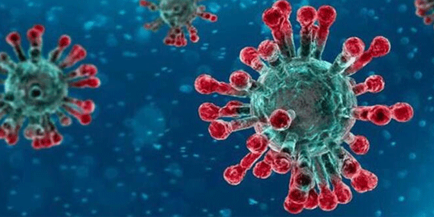 İtalya'da 12 kişide daha koronavirüs mutasyonu tespit edildi