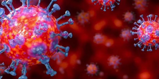 İtalya'da korkunç koronavirüs tablosu