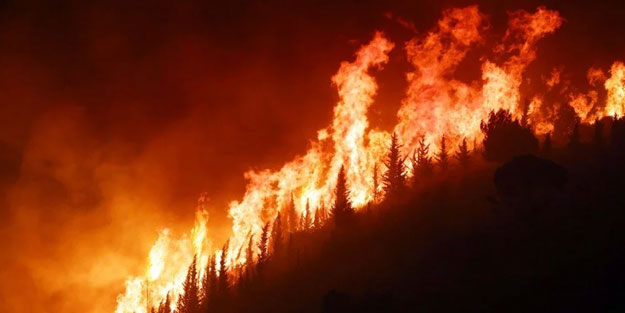 İtalya'da orman yangını felaketi