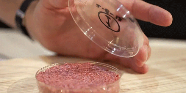 İtalya'dan tarihe geçecek 'yapay et' kararı