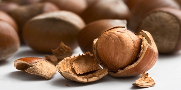 İtalya'dan Türk tarımına karalama kampanyası