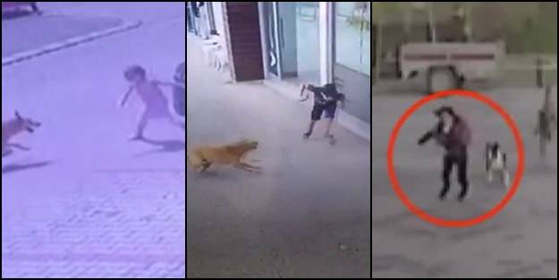 'İtçiler'e şirinlik yapan Japon oyuncuya "sokak köpeği" ayarı! Bunları ülkesine övünerek örnek gösteriyormuş