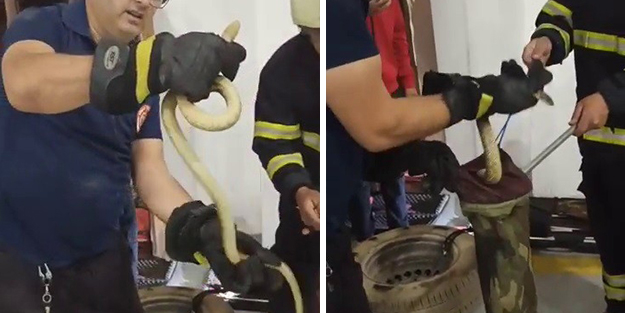 İtfaiye aracına giren yılanı itfaiyeciler çıkardı