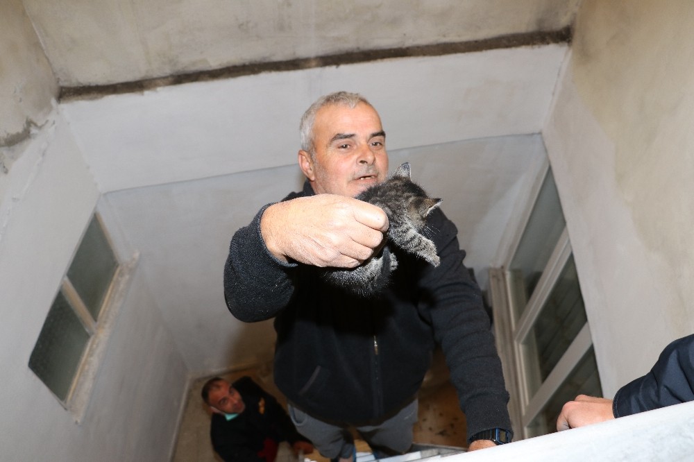 İtfaiye ekipleri 3 gündür mahsur kalan yavru kediyi kurtardı 