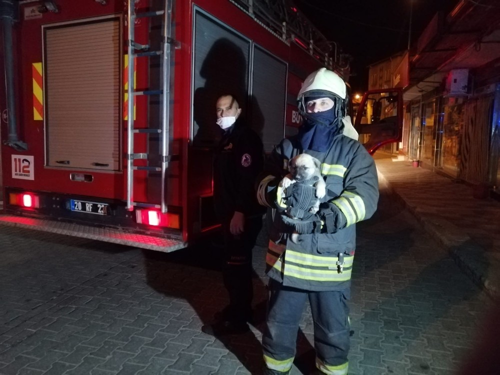 İtfaiye ekipleri balkonda mahsur kalan yavru köpek için seferber oldu 