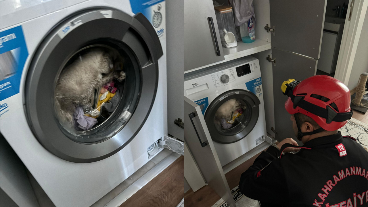 İtfaiye ekipleri çamaşır makinesine sıkışan kedi için seferber oldu