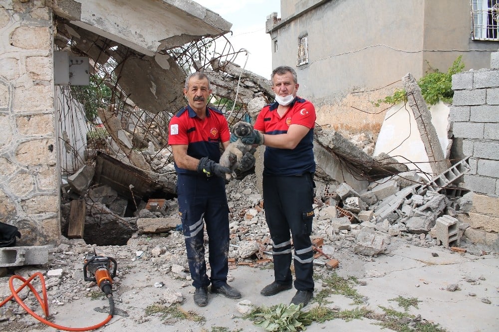 İtfaiye ekipleri enkaz altında kalan yavru köpeği kurtardı 