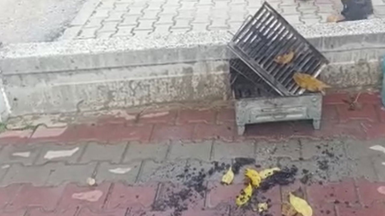 İtfaiye ekipleri gözlerine inanamadı! Yangın ihbarına gidilen evde akılalmaz görüntü