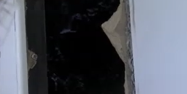 İtfaiye ekipleri martı için seferber oldu! Bakın nereye düştü