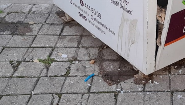 İtfaiye ekipleri seferber oldu | Küçük kedi öyle bir yere girdi ki!