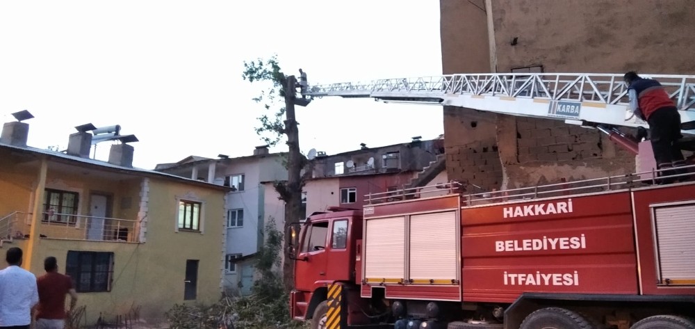 İtfaiye ekipleri tehlike saçan ağaçları kesti 