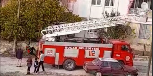 İtfaiye eri kediyi kurtarıp kendi düştü! Er yaralandı, kedi bayıldı