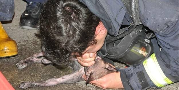İtfaiye erinden kediye kalp masajı ve suni teneffüs