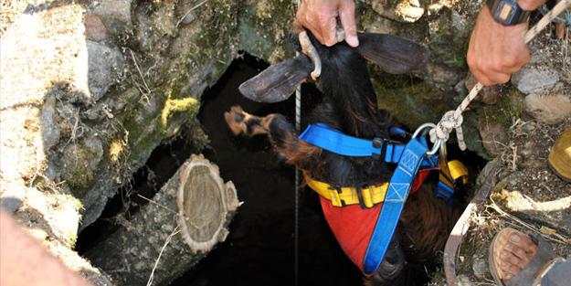 İtfaiye ve AFAD keçi için seferber oldu