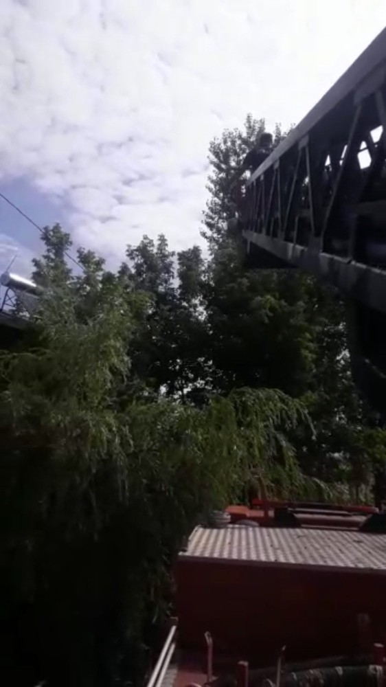 İtfaiyeden karga kurtarma operasyonu 