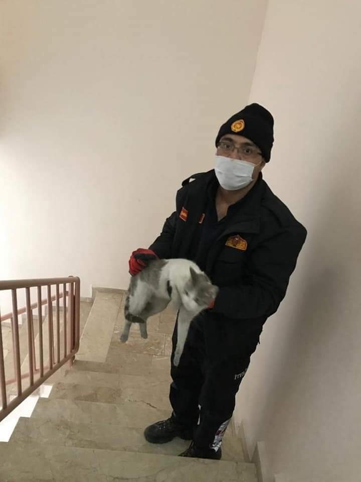İtfaiyeden kedi kurtarma operasyonu 