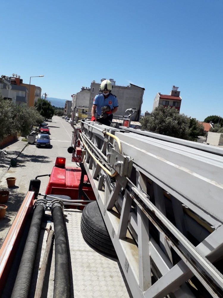 İtfaiyeden kedi kurtarma operasyonu 