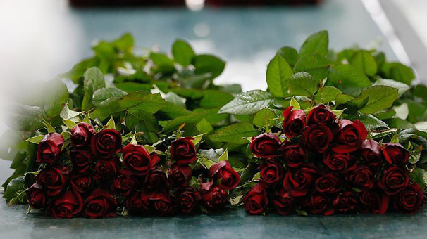 İthal gülün ücreti artınca talep yerli üretime döndü