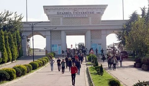 İÜ-Cerrahpaşa Rektörlüğü personel alacak