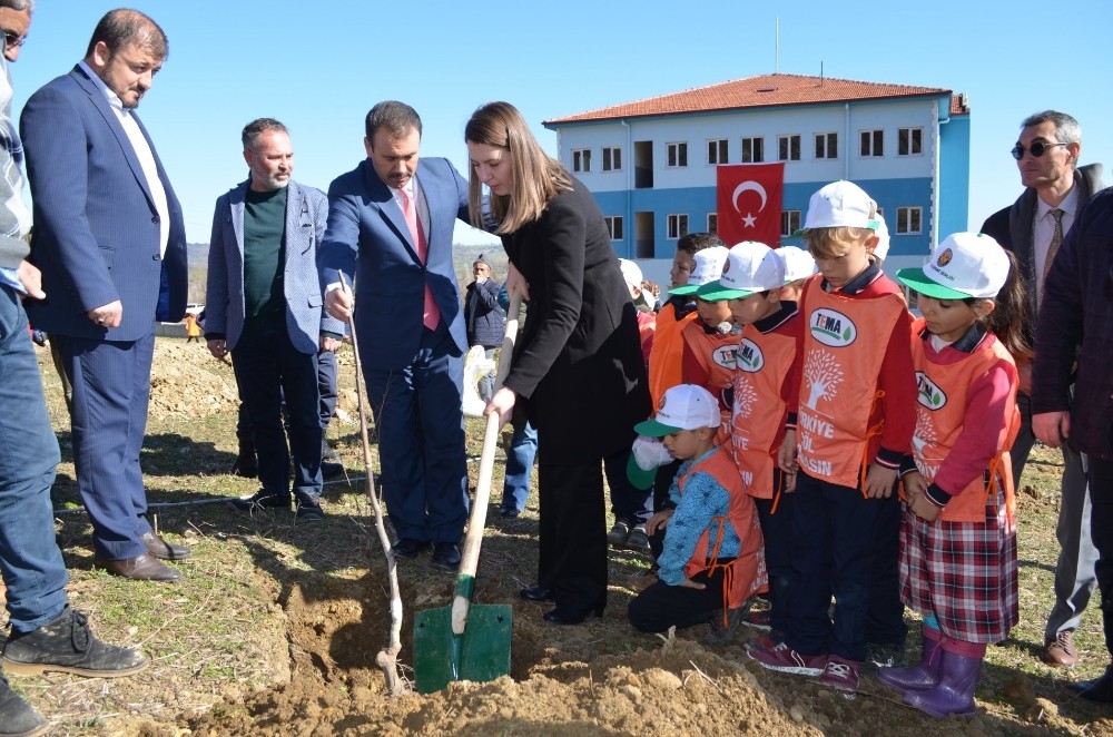 İvrindi’de fidan şenliği 