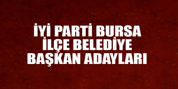 İYİ Parti Bursa ilçe belediye başkan adayları 2019