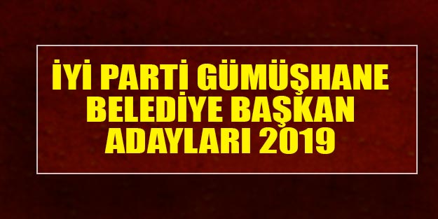 İYİ Parti Gümüşhane belediye başkan adayları 2019