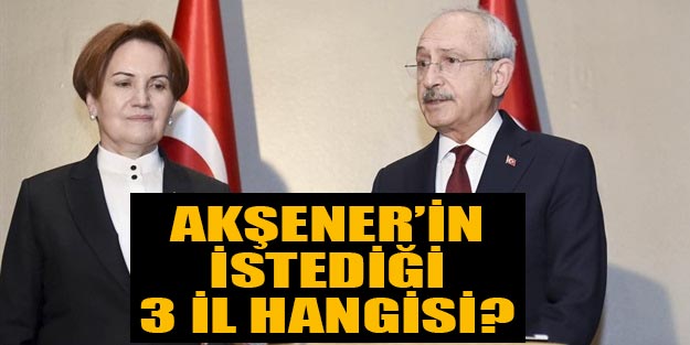 İYİ Parti hangi illerde belediye başkan adayı çıkaracak?