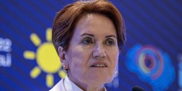 İYİ Parti ve Zafer Partisi'ne soğuk duş! Yüzlerce kişi MHP'ye geçti