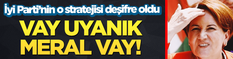 İyi Parti’nin o stratejisi deşifre oldu! Vay uyanık Meral vay