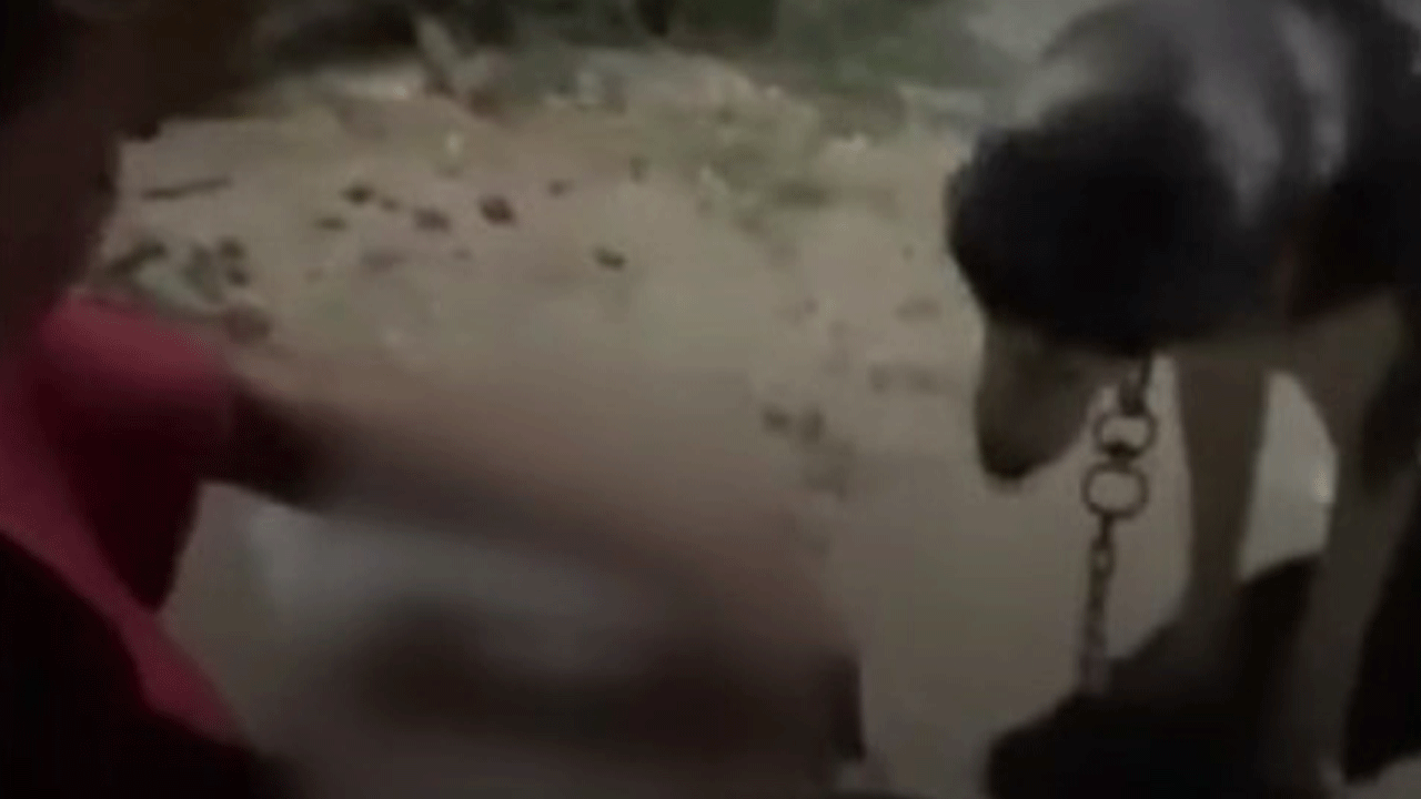 İyice sapıttılar: Ankara'da bir kişi köpeğine alkol içirdi!