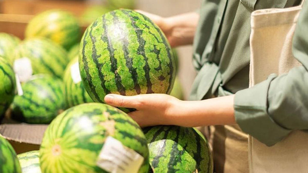 İyisini seçmek meğer bu kadar kolaymış! Karpuzunuz artık kelek çıkmayacak! İşte sulu, lezzetli, olgun karpuzu anlamanın püf noktası