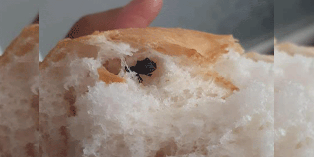 İzlerken mideniz bulanacak! Ekmekten çıkana bakın
