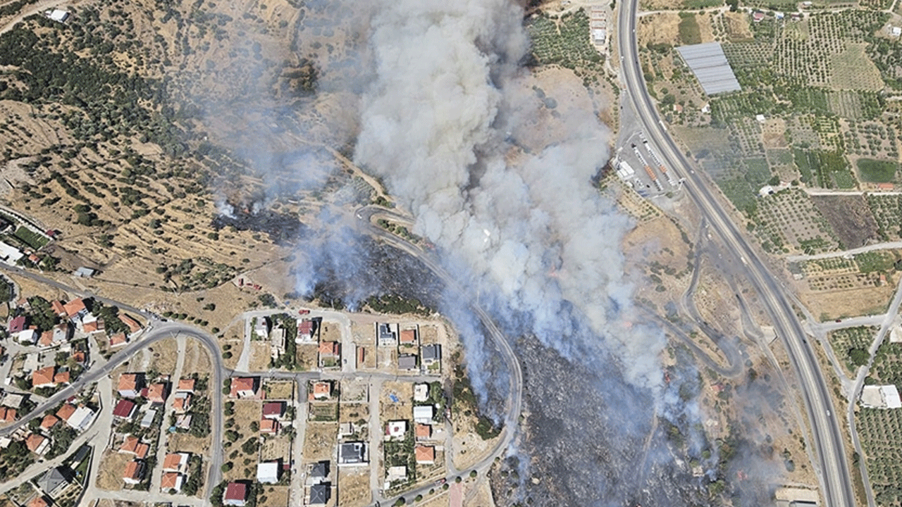 İzmir Bornova'da tehlike ucuz atlatıldı! Alevler mahalleye sıçramadan söndürüldü