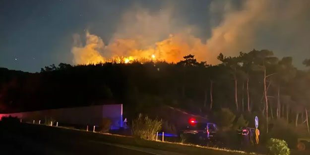 İzmir Kemalpaşa'da çıkan orman yangını kontrol altına alındı
