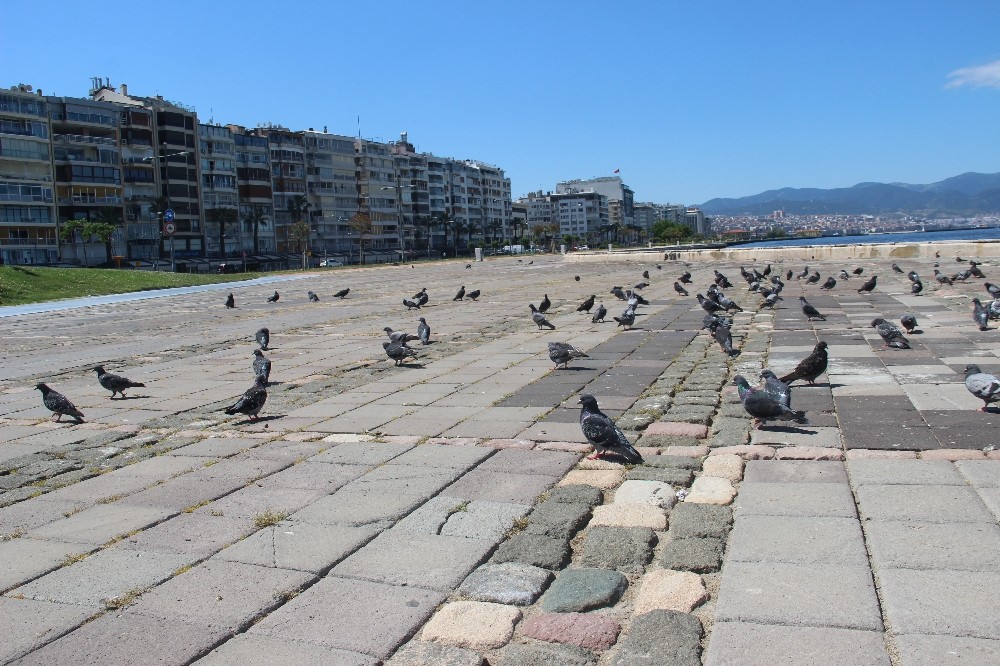 İzmir, kısıtlamanın ilk gününde boş kaldı 