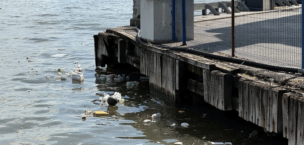 İzmir Körfezi çöplüğe döndü! Artık balıklar değil çöpler yüzüyor