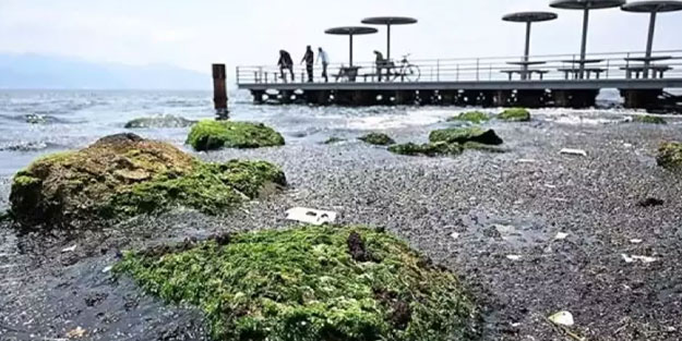 İzmir Körfezi için kirlilik uyarısı